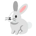 :rabbit2: