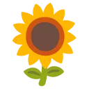 :sunflower: