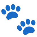 :paw_prints: