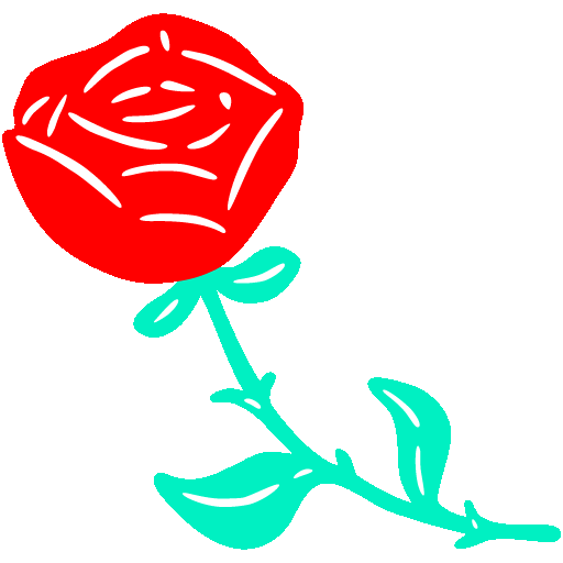 A red rose