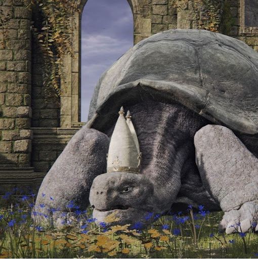 A Slow Turtle