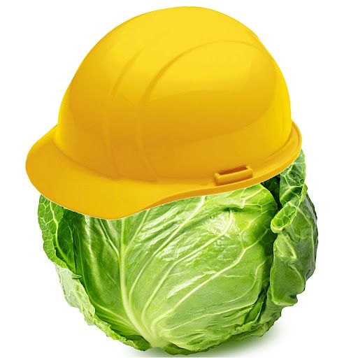 Engineer Cabbage