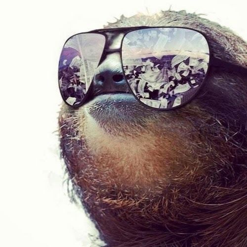 チル怠惰[Chill Sloth]