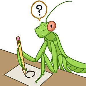 Sketching Mantis (ShadowPencil2)