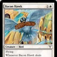 Bacon Hawk