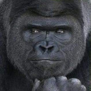 Pensive King Kong