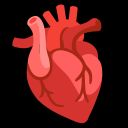 :anatomical_heart: